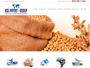 Criação de Sites para Services e Commodities